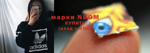 прущие грибы Костерёво