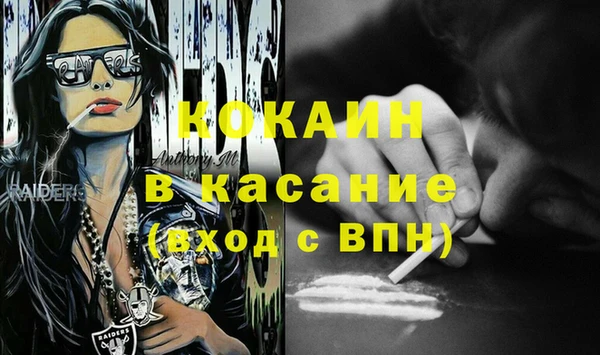 прущие грибы Костерёво