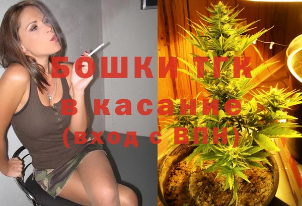 прущие грибы Костерёво