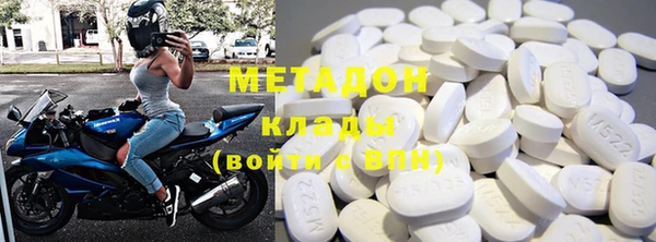 прущие грибы Костерёво