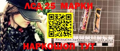 2c-b Камышлов