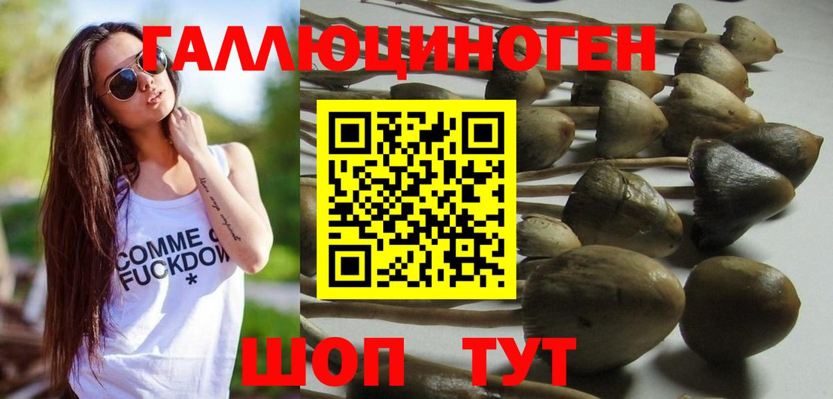 где найти наркотики  Псилоцибиновые грибы Cubensis  Михайловка  Вход с VPN  Псилоцибиновые грибы прущие грибы 